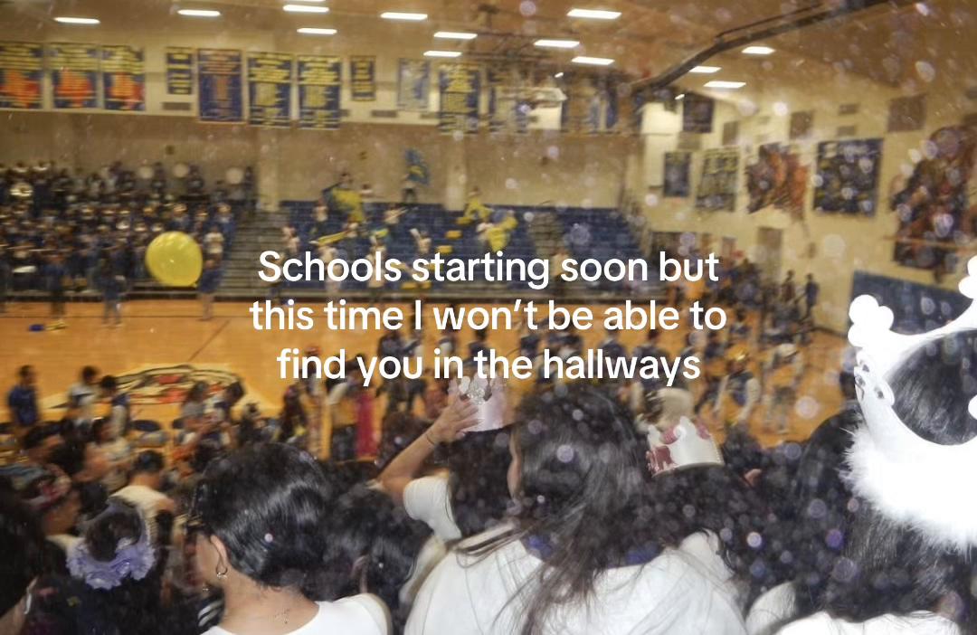 @🤍