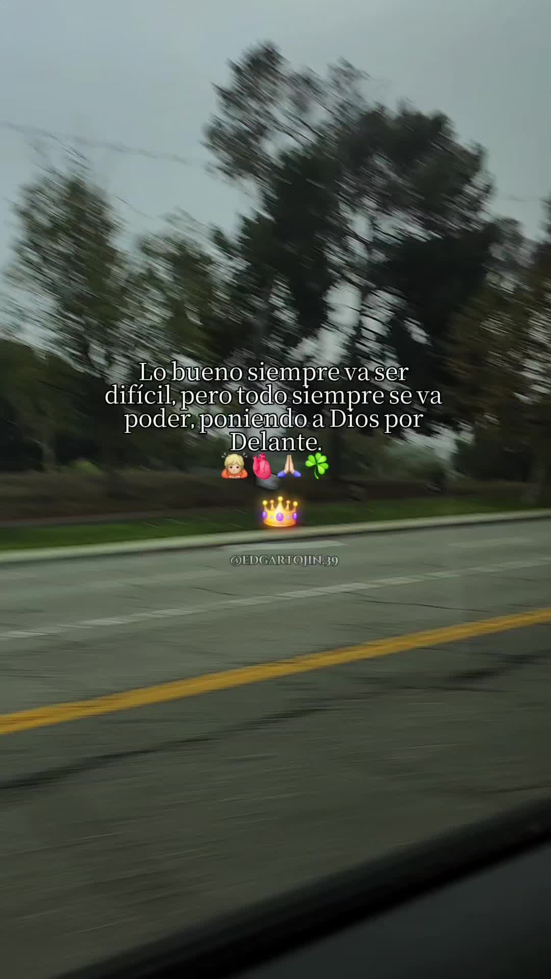 @Maribel Gallardo
