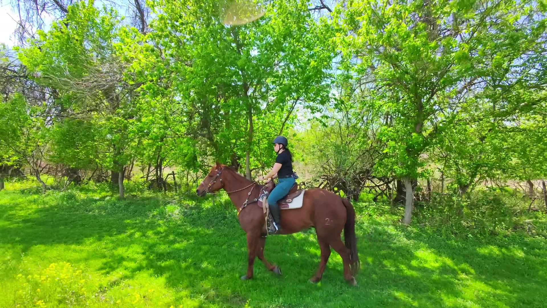 @TinySuburbanFarm