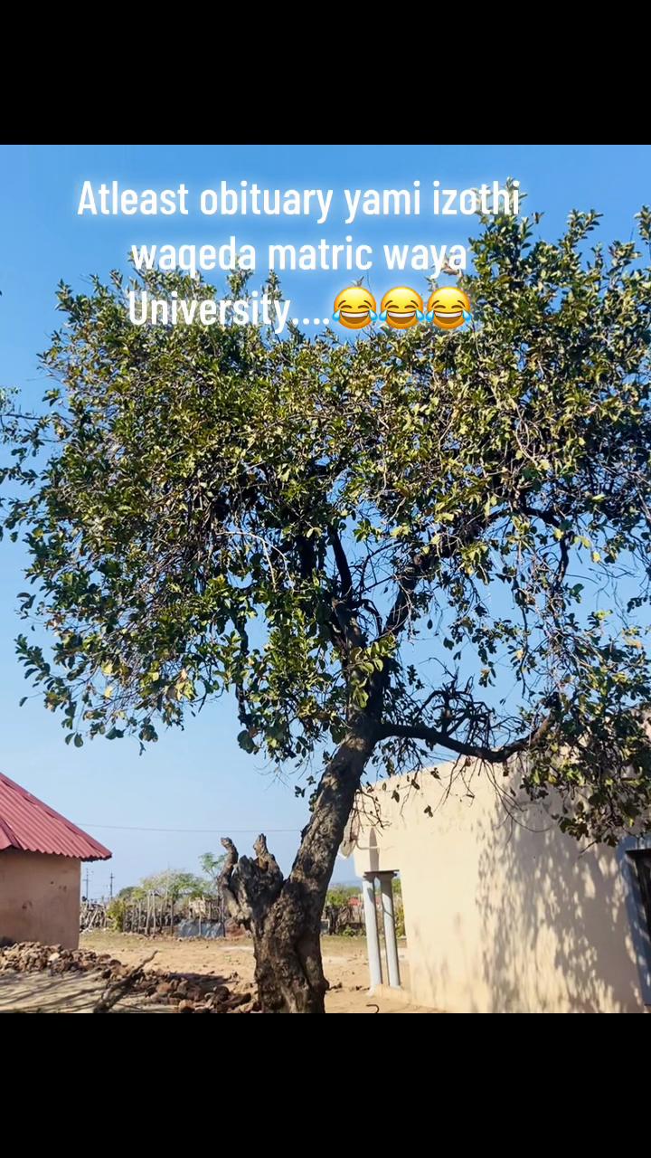 @NTOKOZOmabaso💞🔥💃❣️