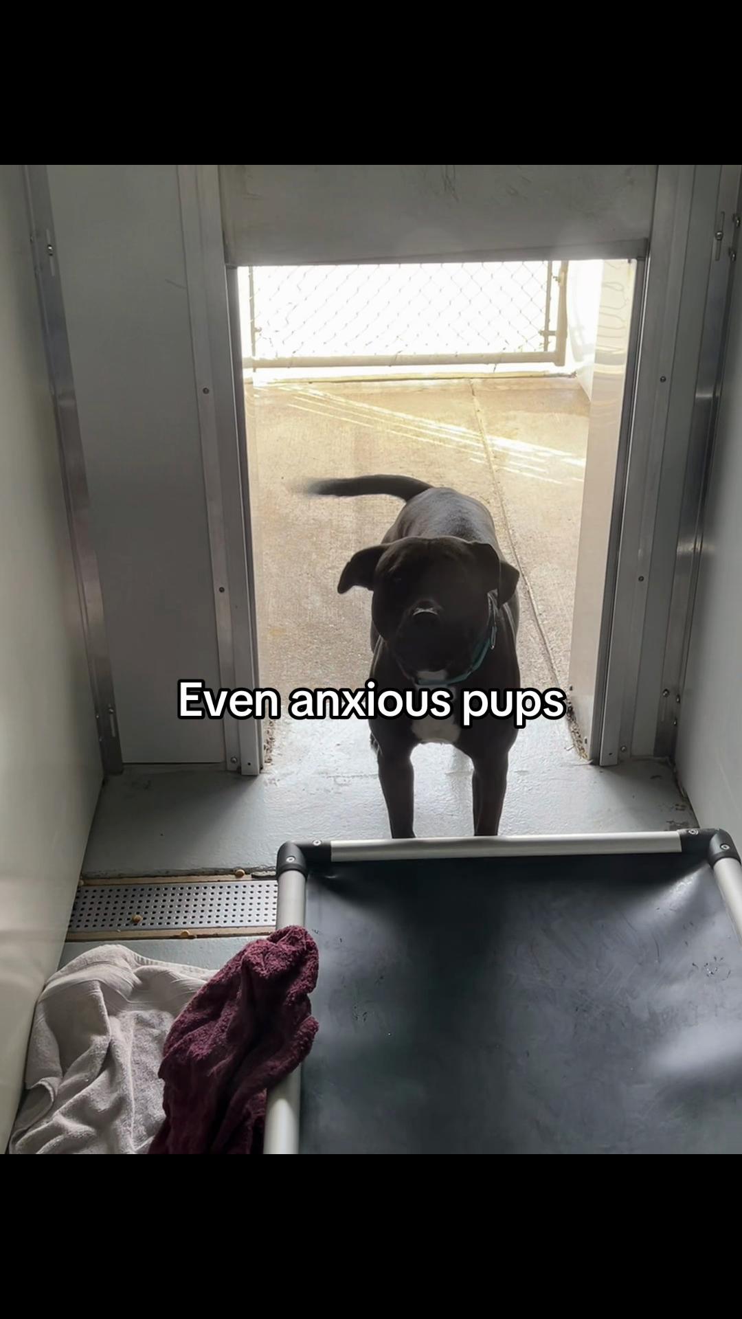 @myTinypurpose