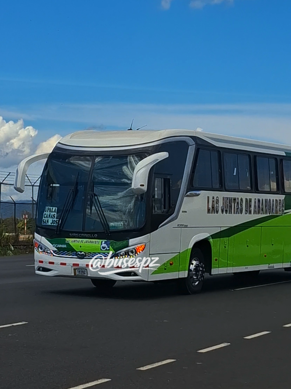 @BUSES PZ | BPZ