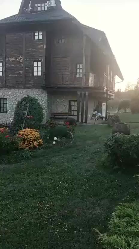 @Marija Popovic3355