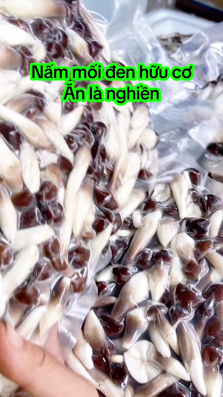 @nguyentuyet_79
