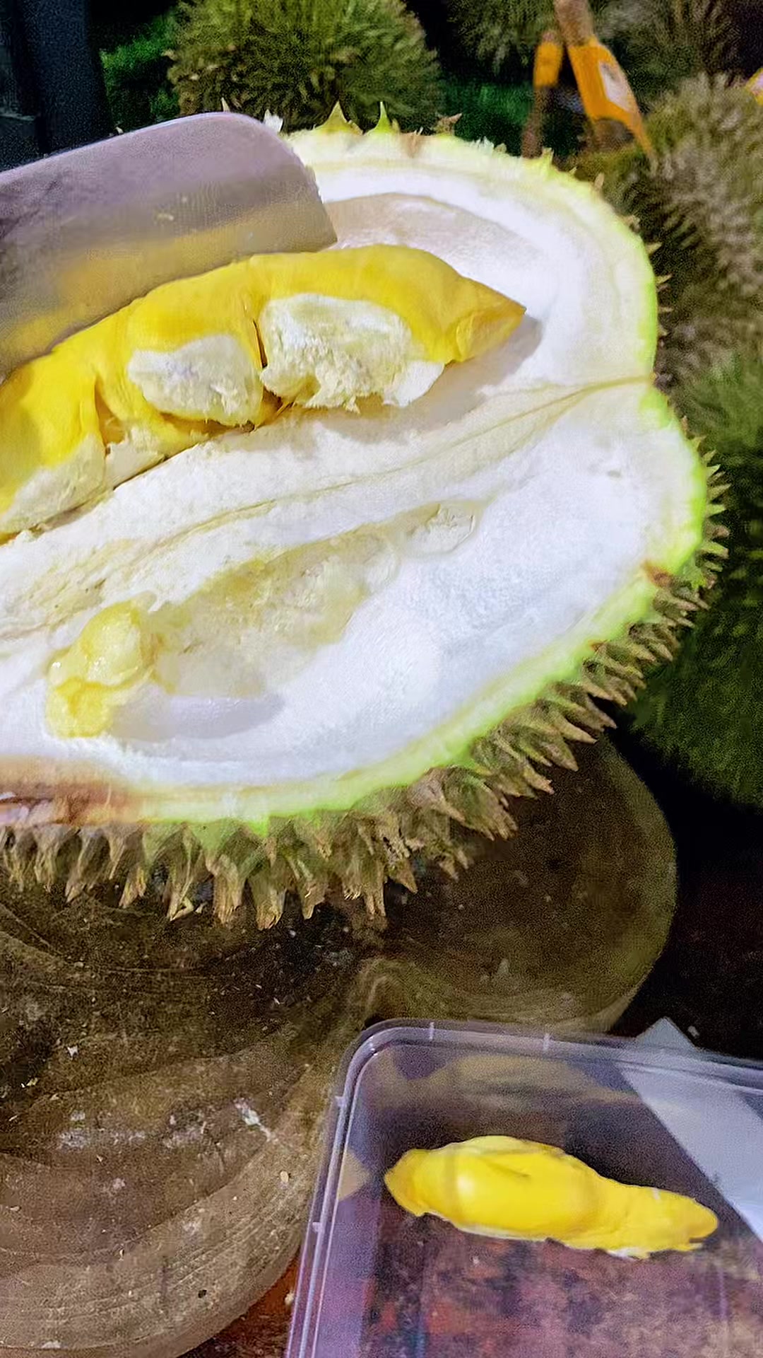 @CICIP DURIAN