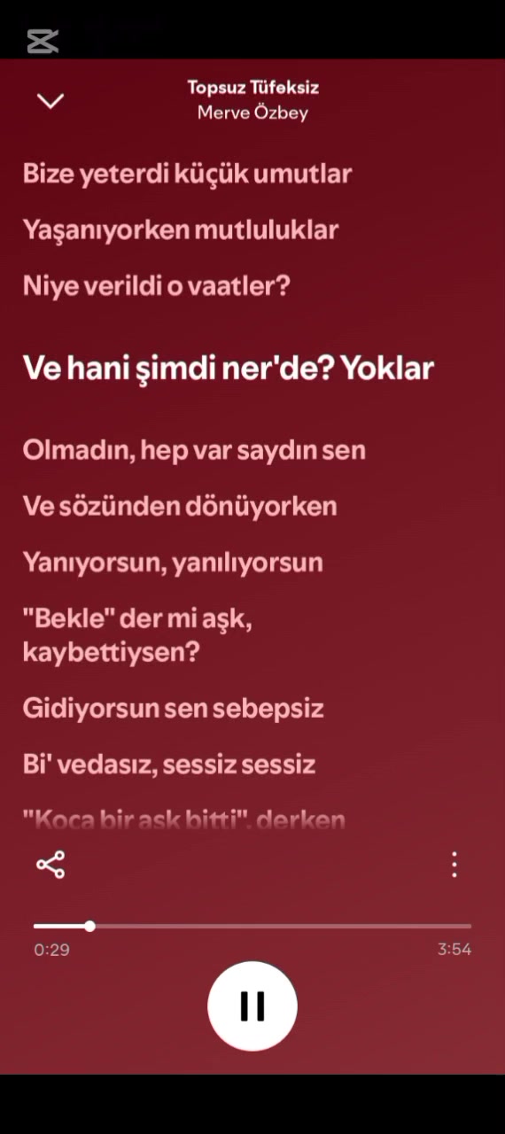 @spotify.mehmet