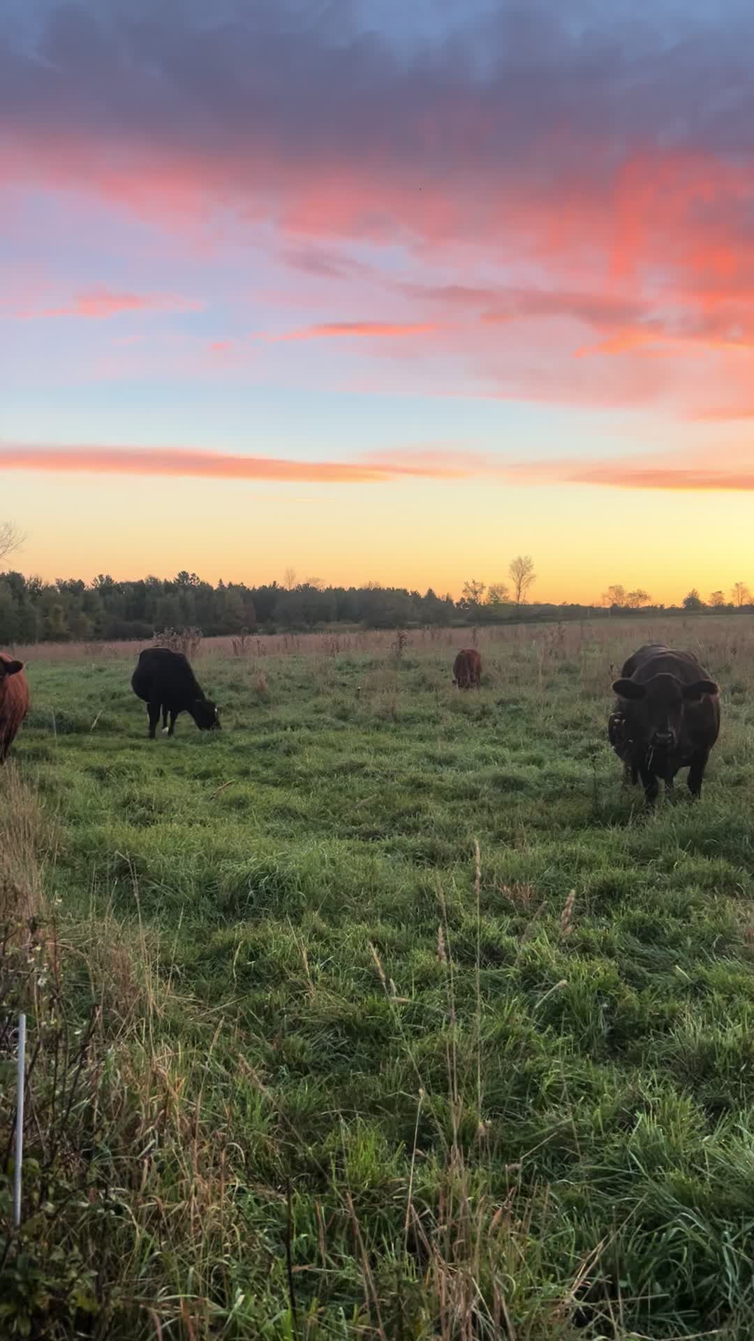 @littlesandycreekfarm