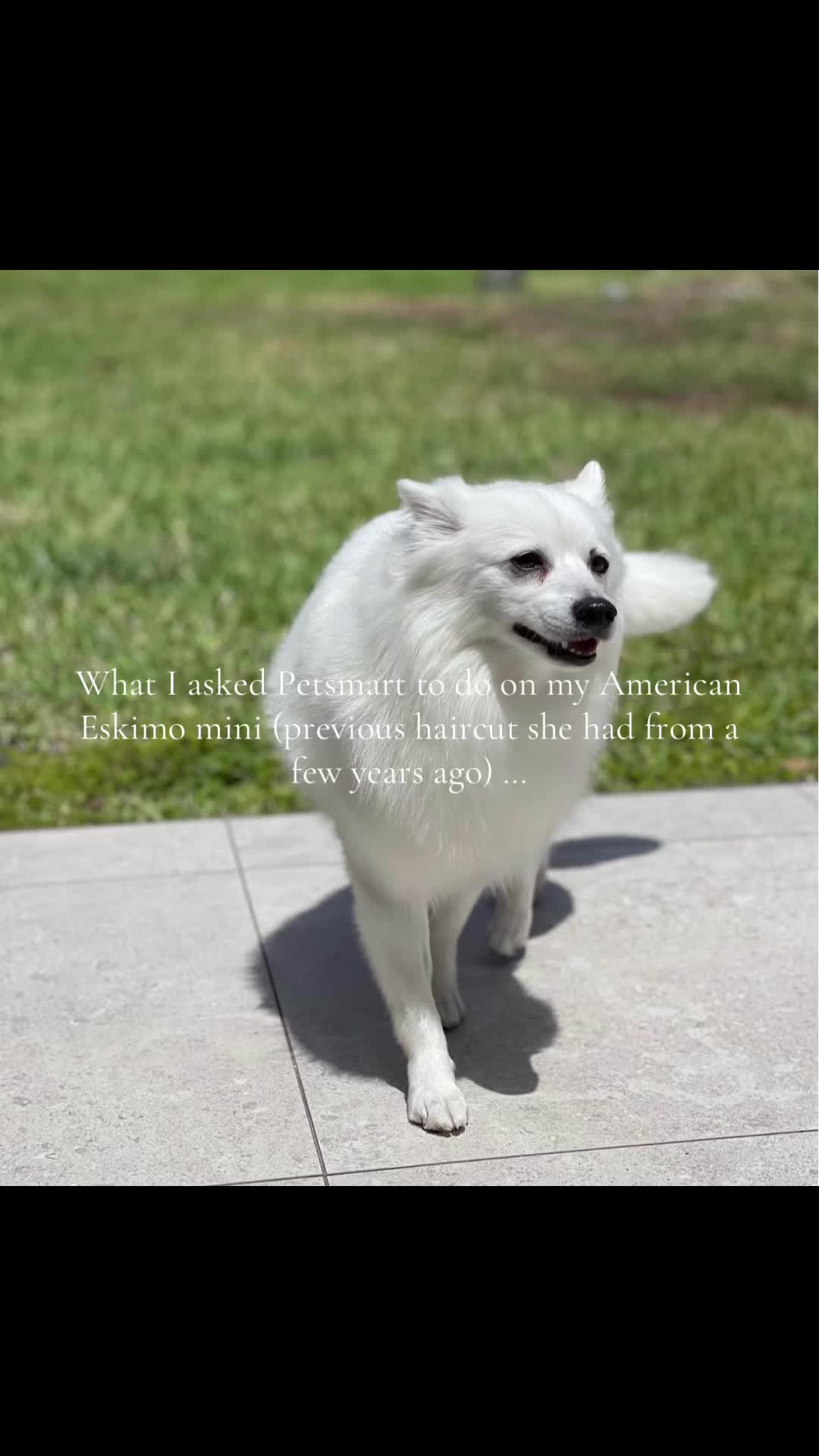 @Emm 🩵