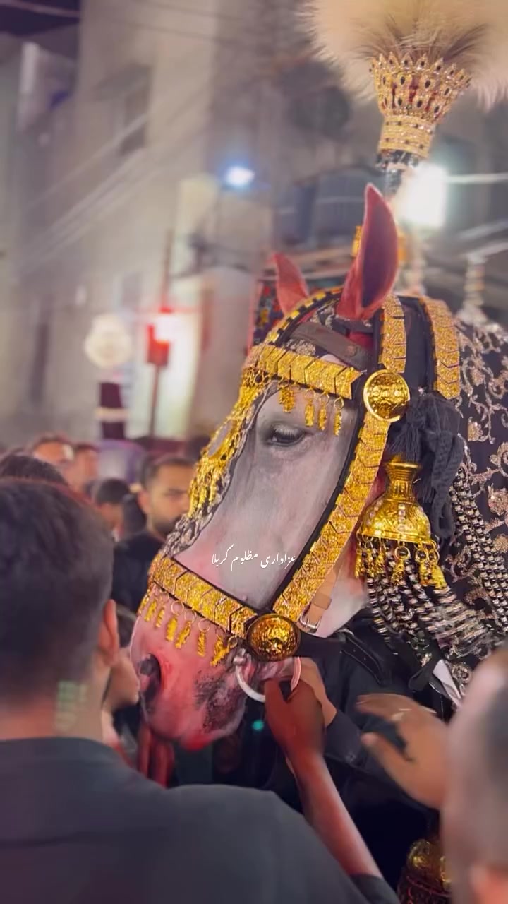 @AzadariEMazloomEKarbala512