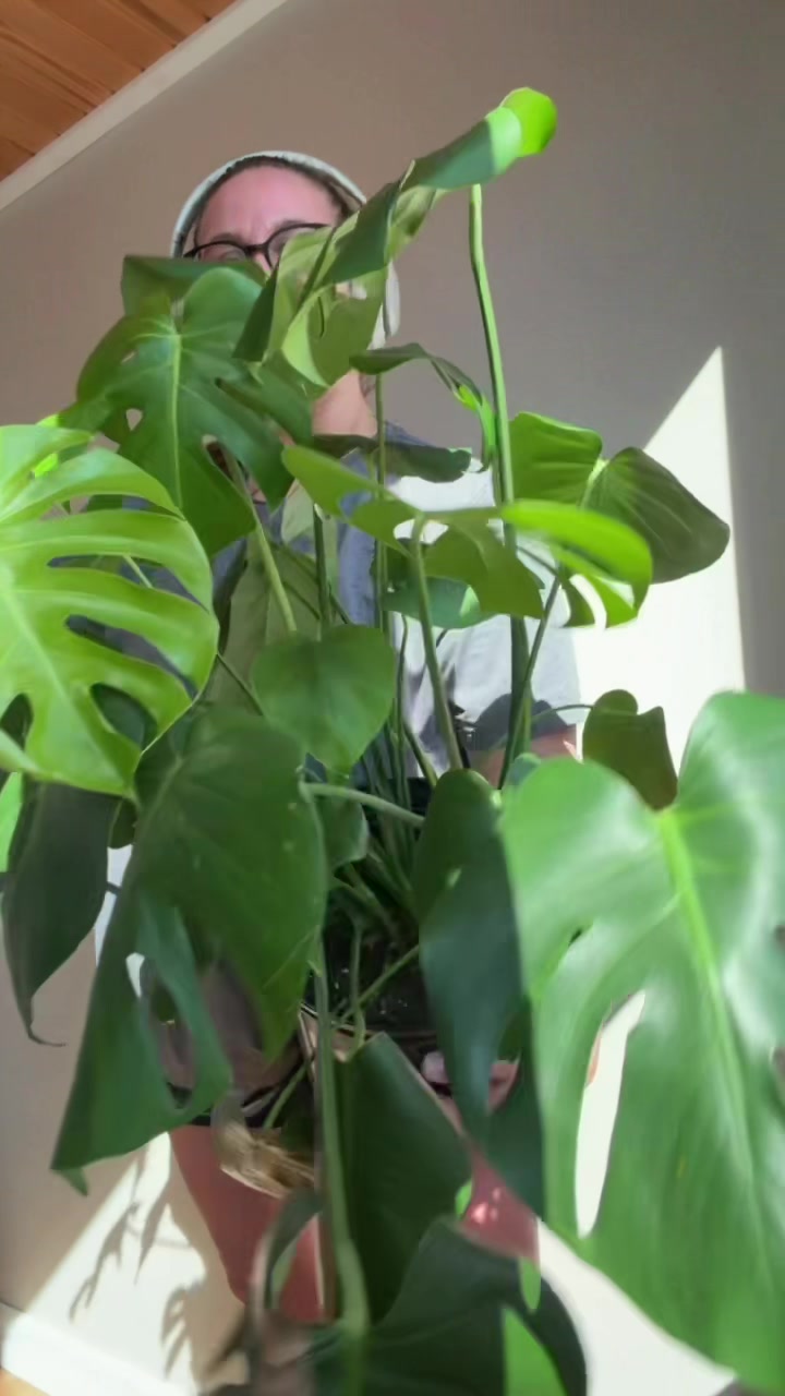 @Plantpusherr