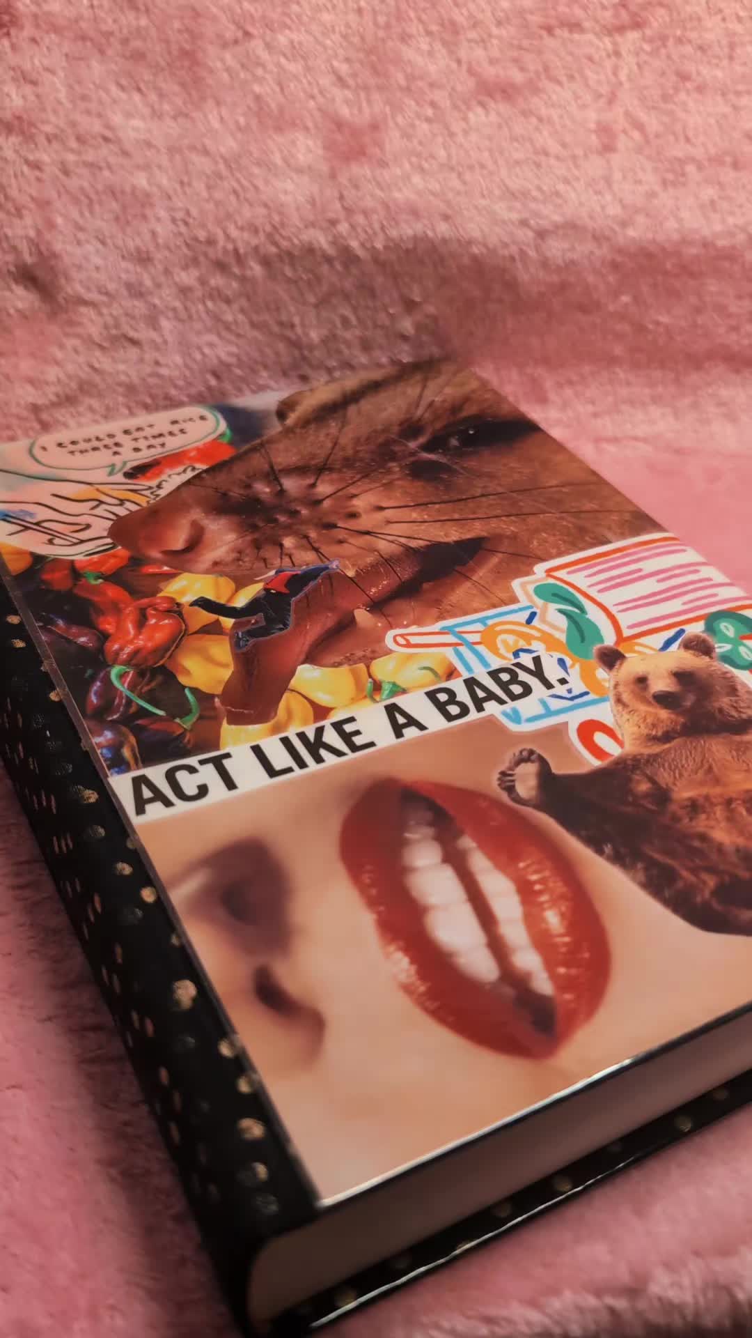 @🐦⬛𝓡𝓪𝓿𝓮𝓷 🐦⬛