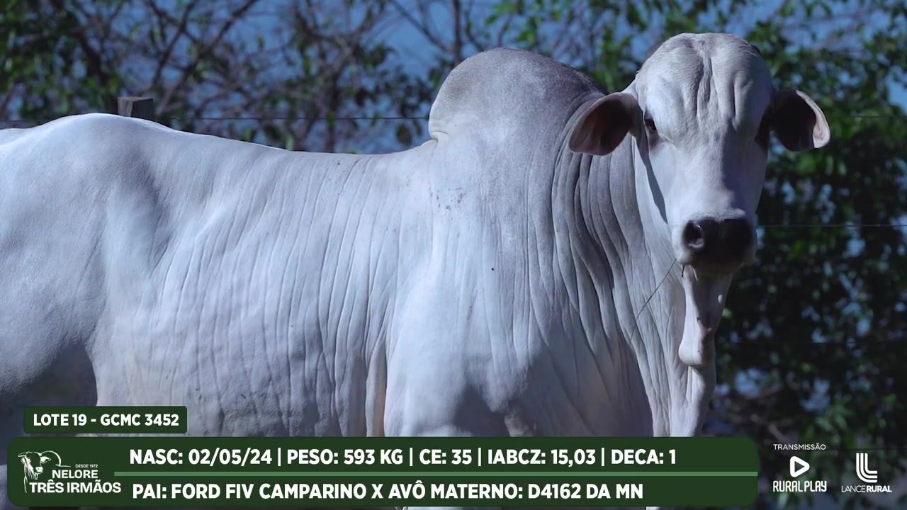 @Grandes_Reprodutores