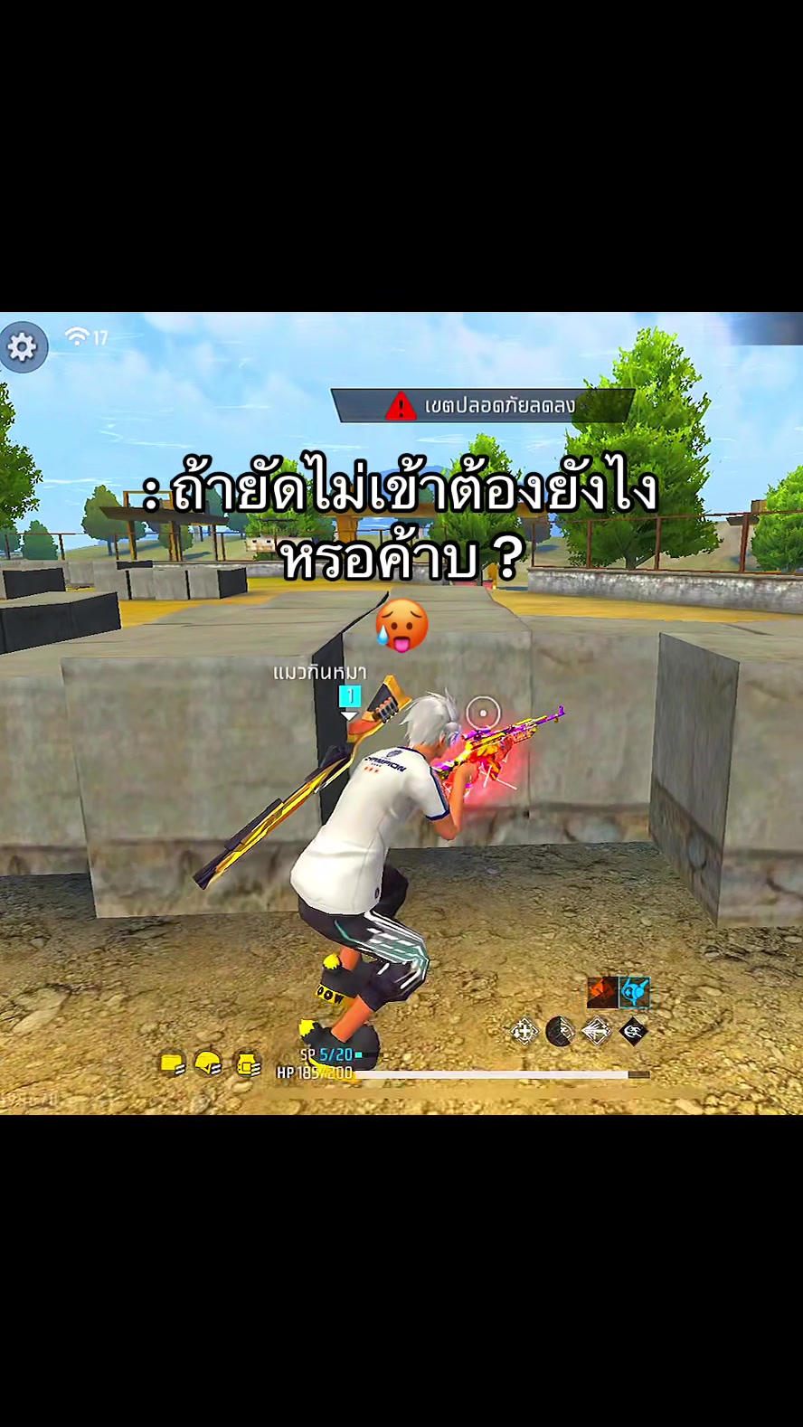 @แมวไม่มีเจ้าของ
