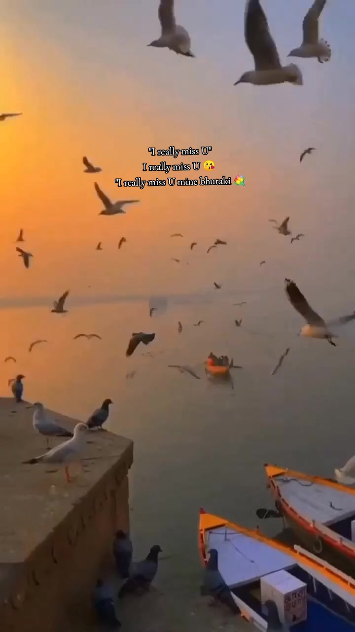 @𝝭𝝝𝗨𝝘 𝝟𝝞𝝥𝗚