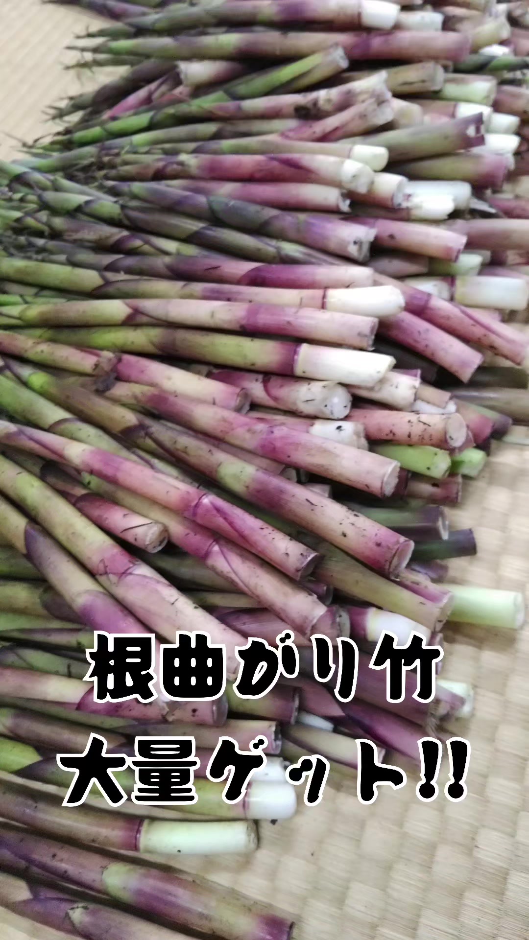 @若旦那