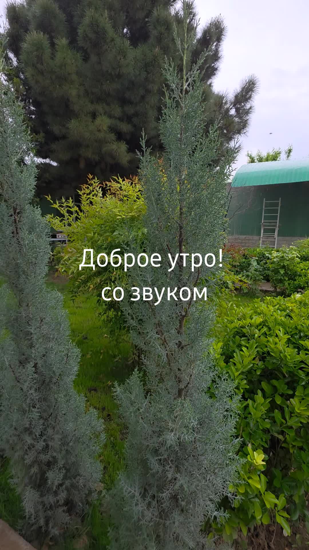 @Gunya_life