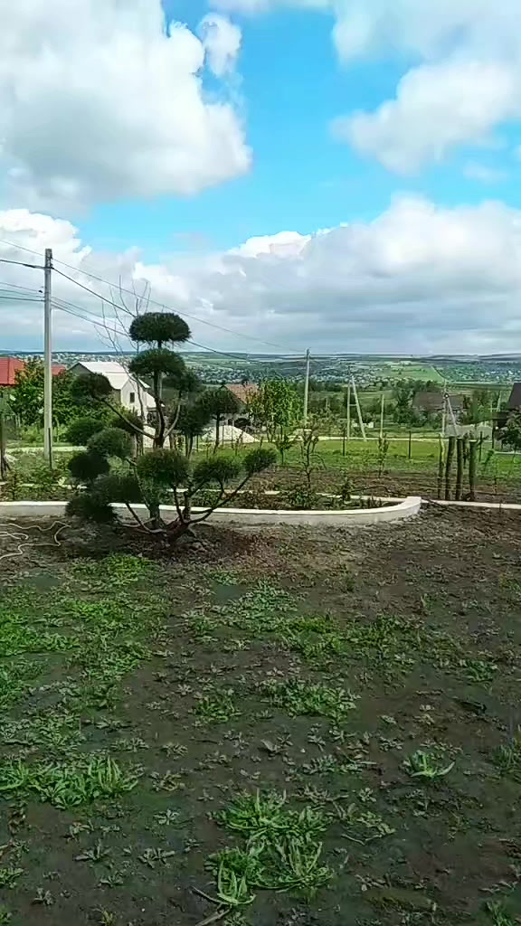 @IGOR FIODOROV