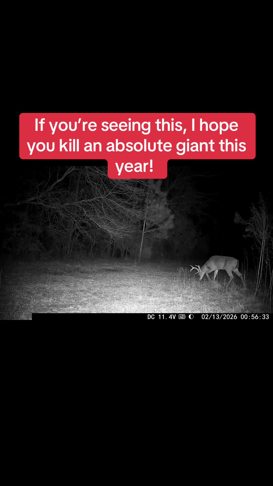 @🦃 Lynchburg Outdoors 🦌
