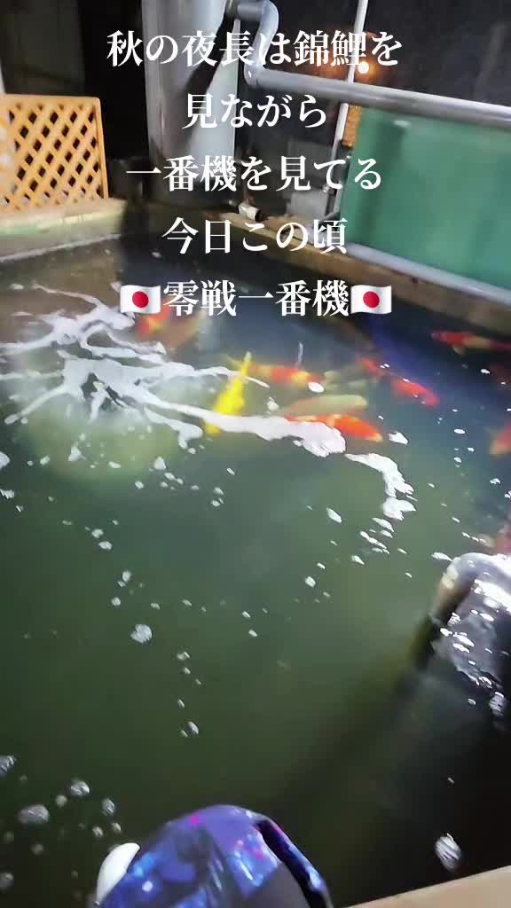 @零🇯🇵🌸零戦一番機🌸🇯🇵