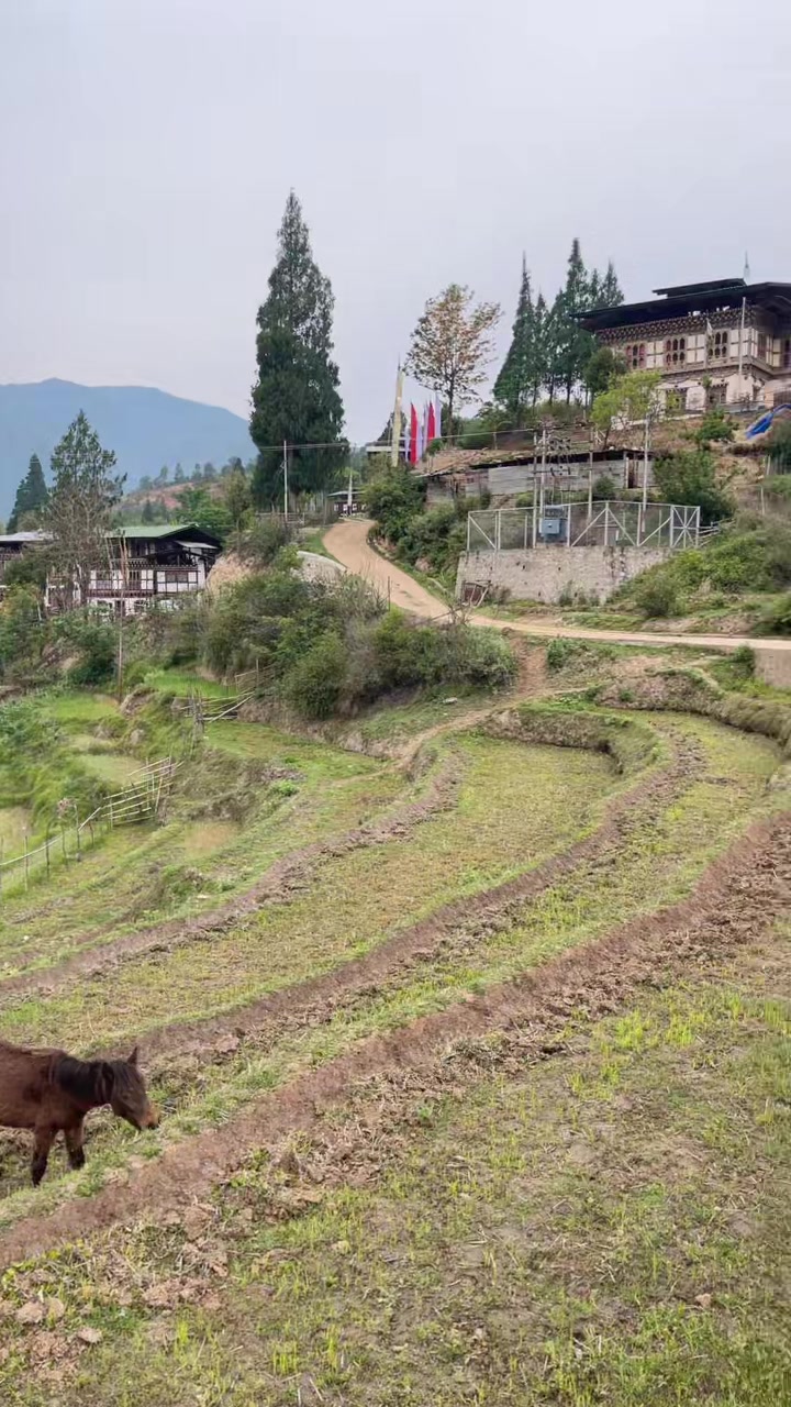 @ཝང་བཟངམོ་བསོད་ནམས་བུ་ཁྲིད།