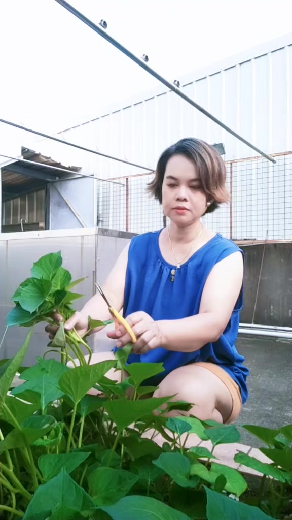 @♎🇮🇩LyBrA🇹🇼♎