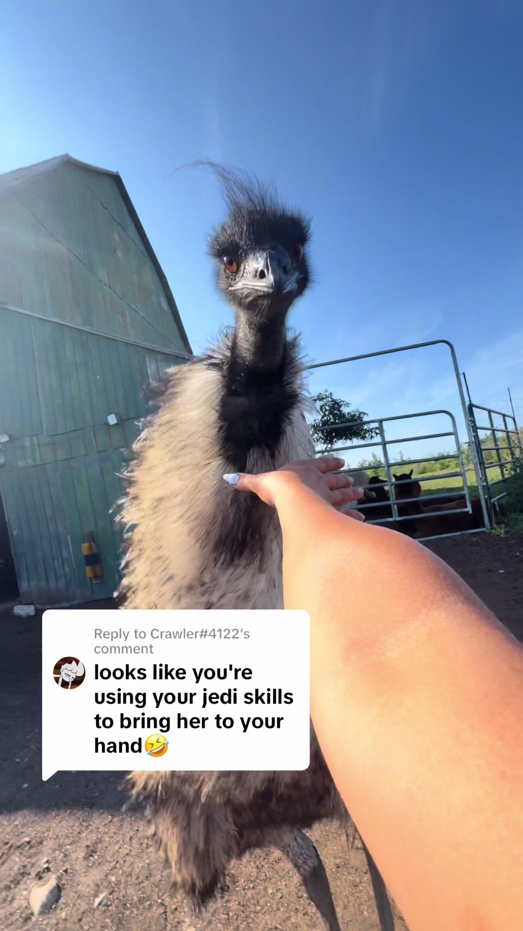 @Useless Farm