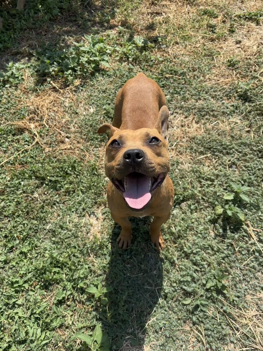 @Joker_pit8