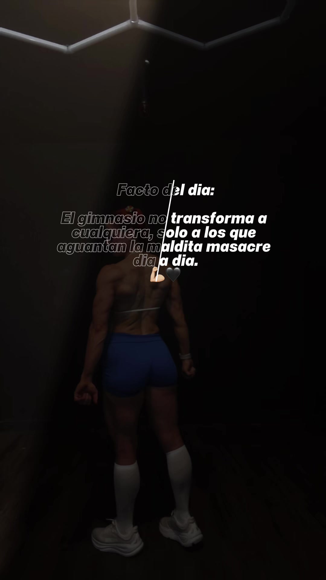 @FITNESS-MELI