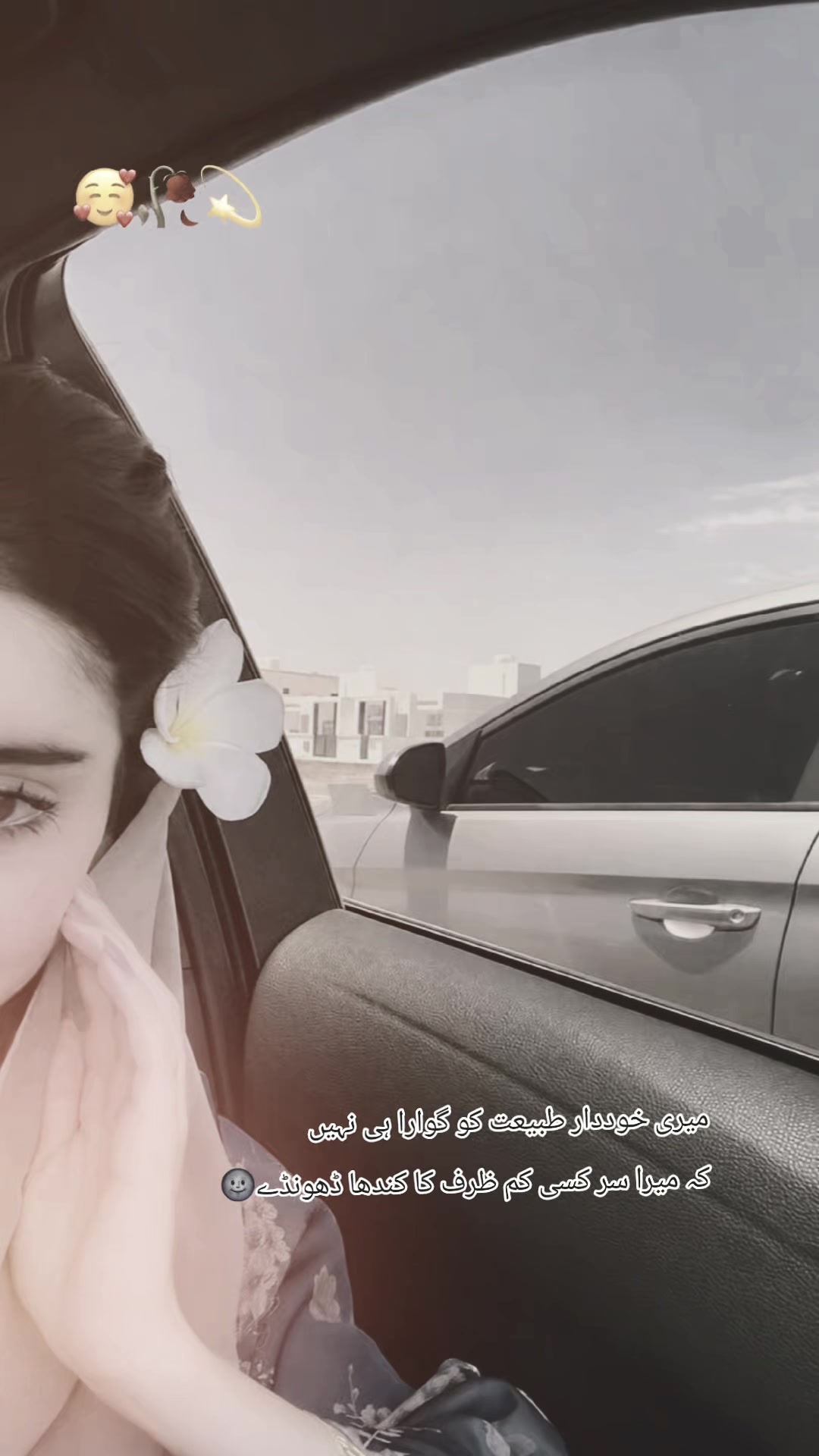 @𝐀ᴘᴇx°