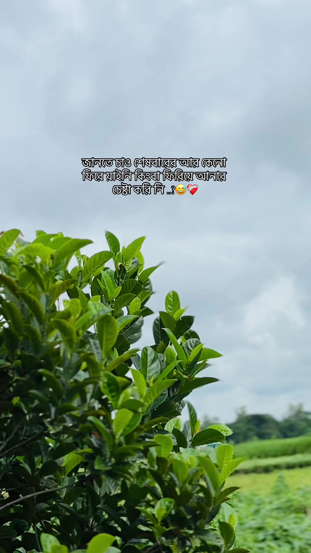 @S i F a T đ¸ī¸đī¸