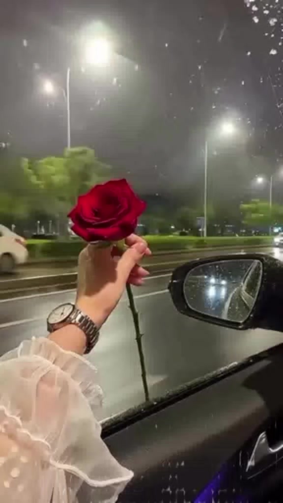 @noorrani