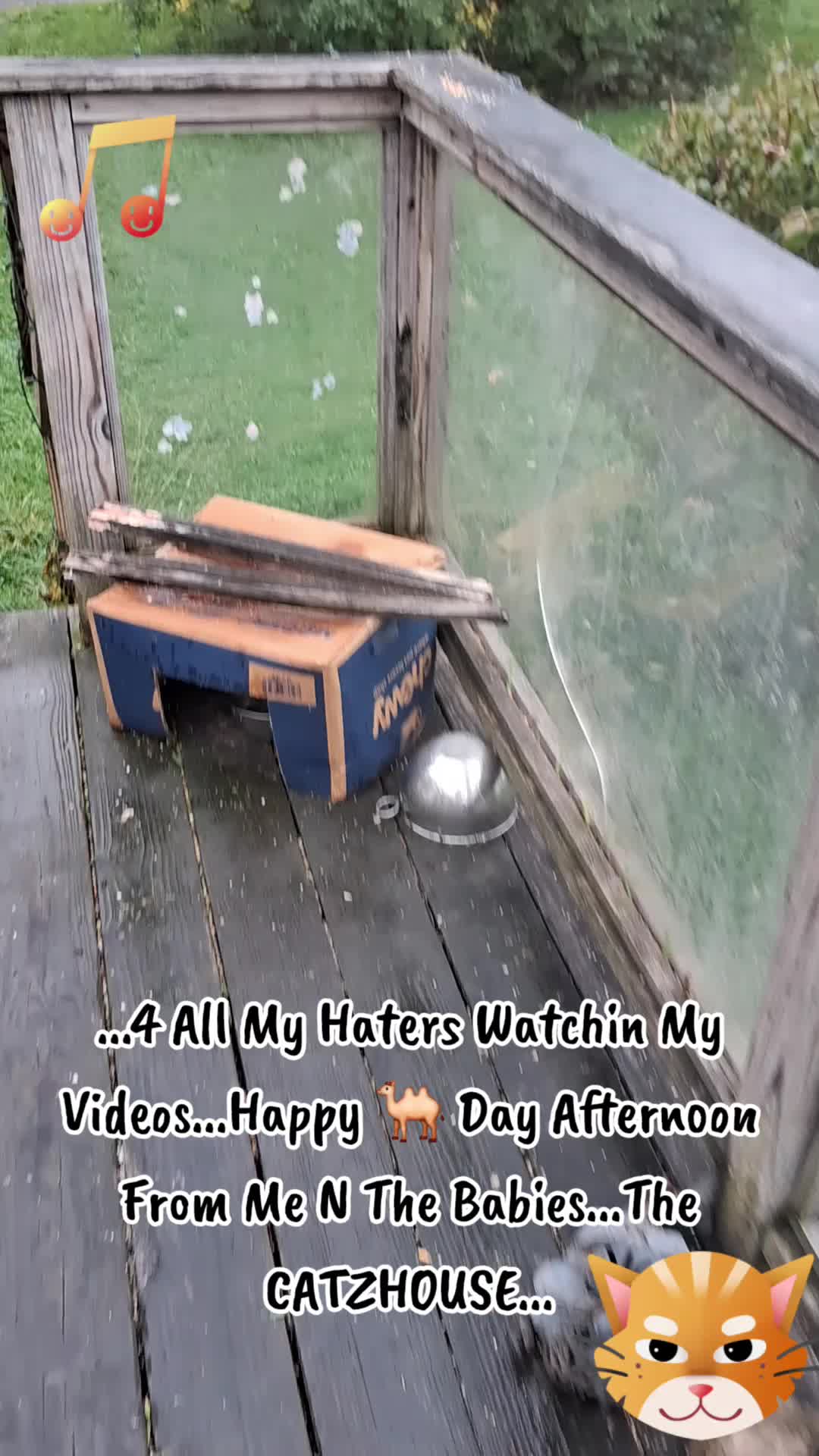 @Booh Hovey crazycatlady3
