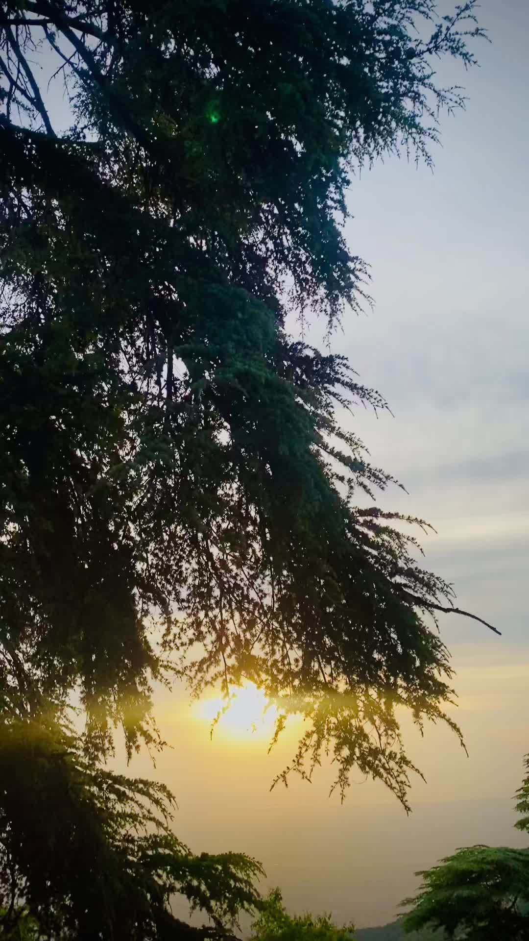 @💚Abd&oslash;&ucirc; Yamaha 💙
