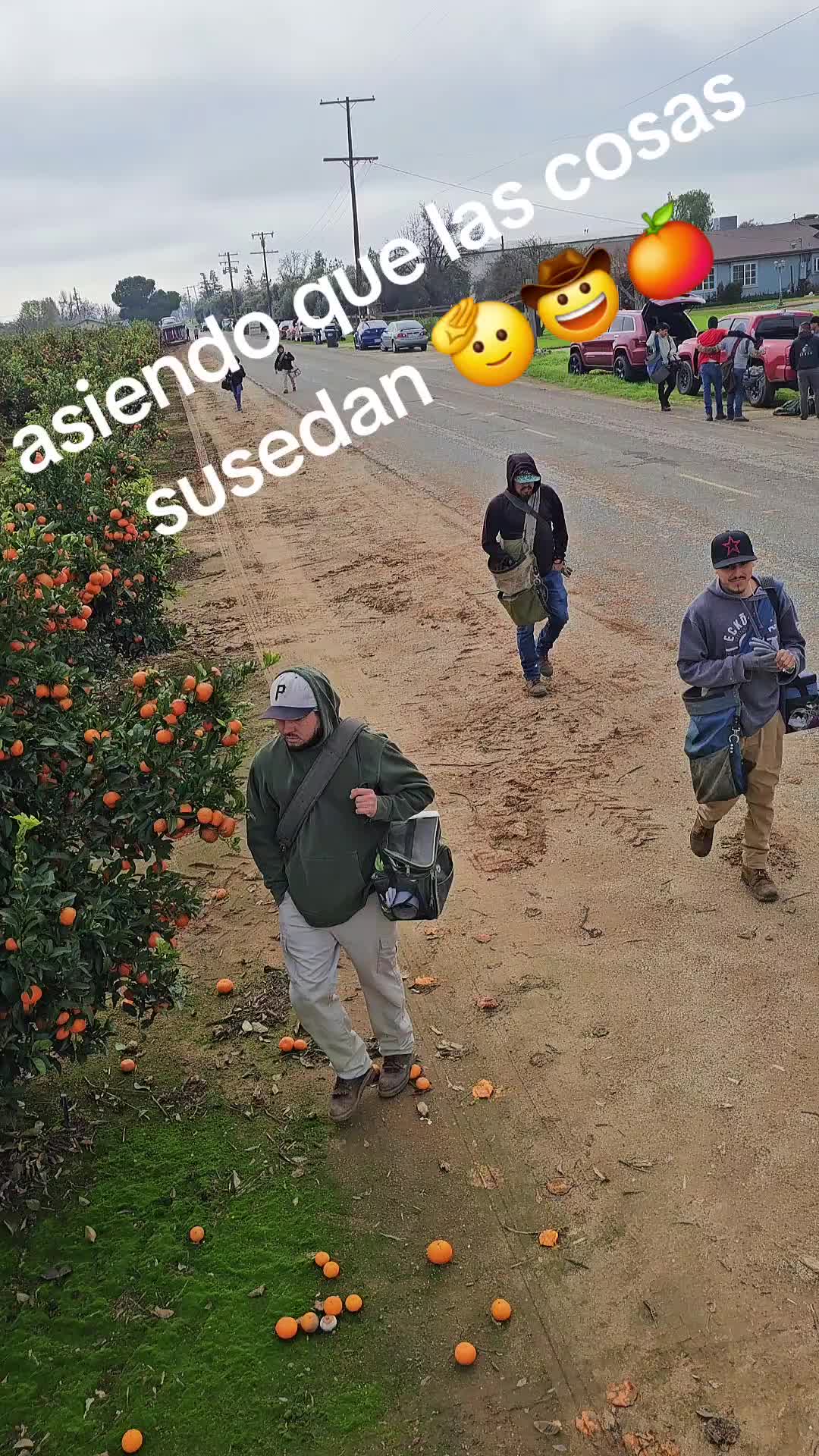 @fulgencio🤠