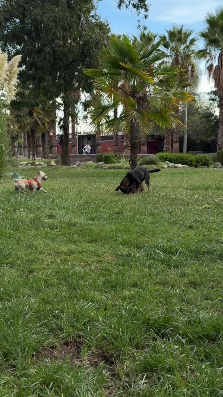 @𝑴𝒊𝒍𝒂 𝑴𝒊𝒍𝒂𝒏𝒆𝒔𝒂 🐾
