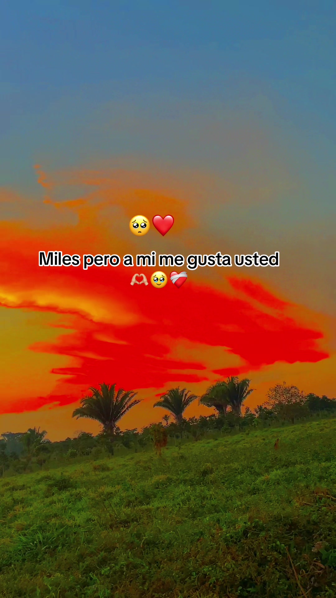 @Gustavo