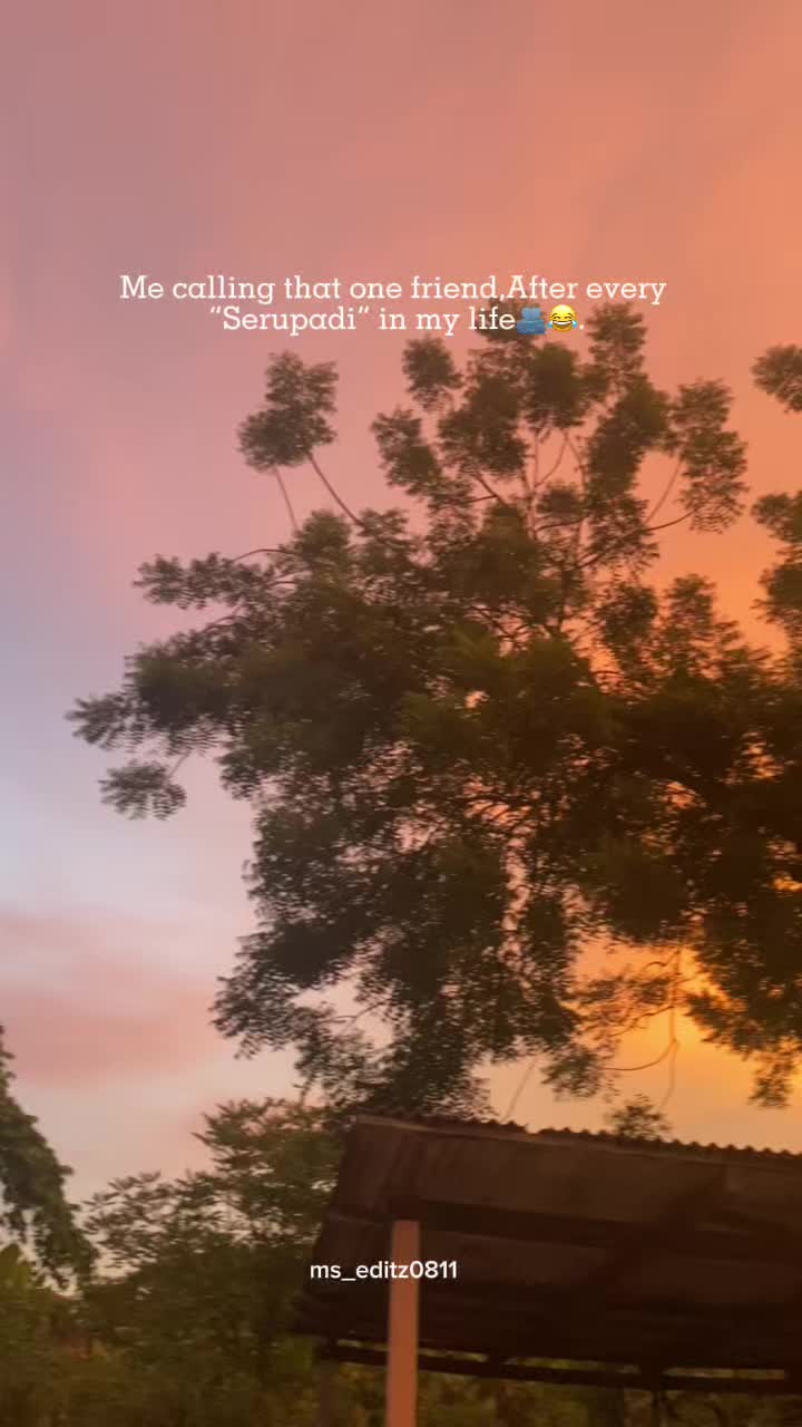 @MS_Editz0811