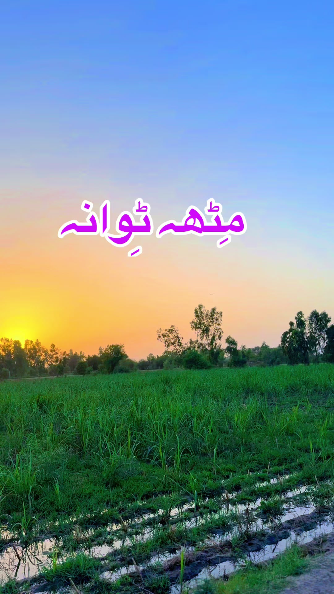 @Abrar ashir