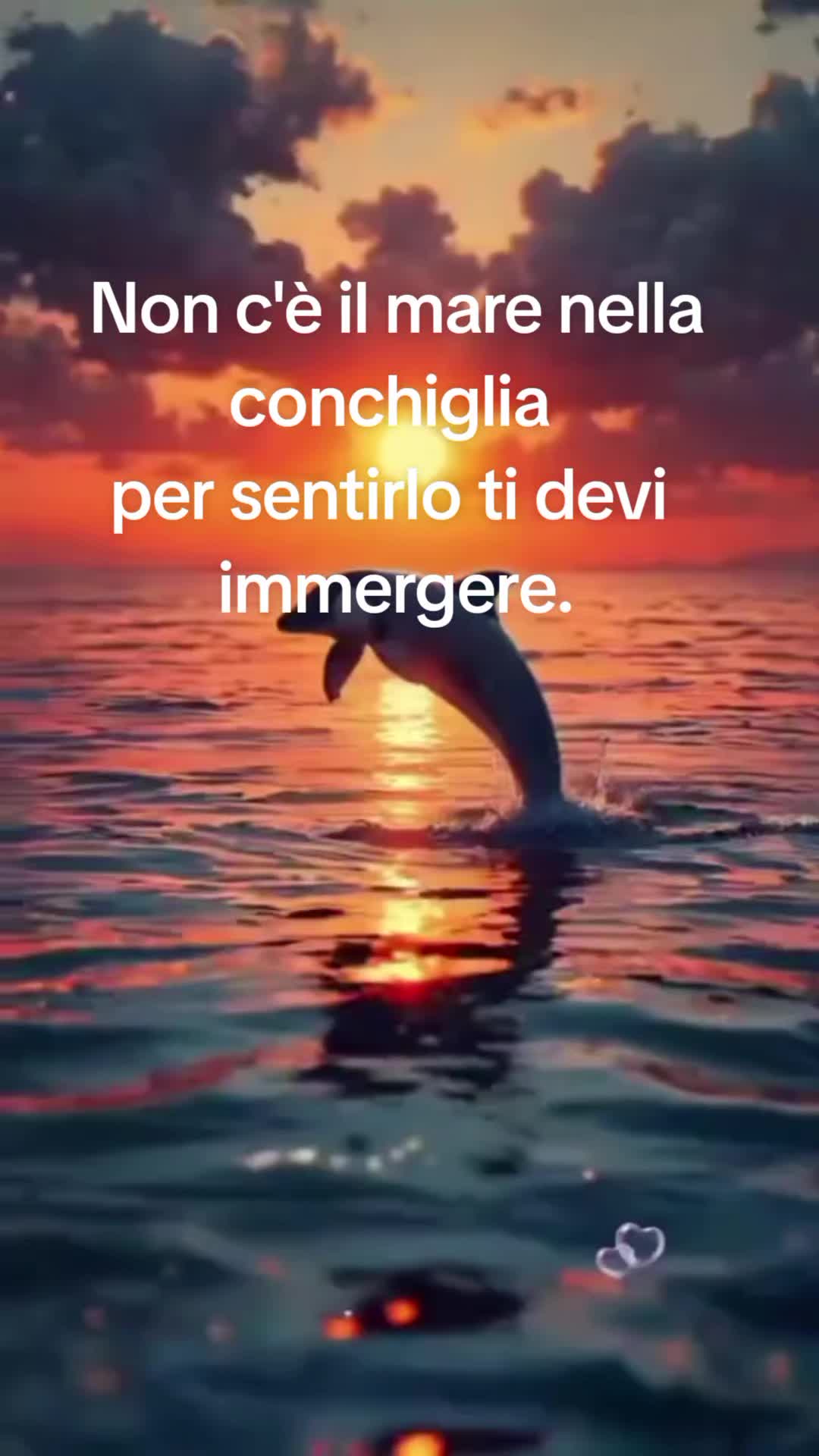 @Lorella.coltro