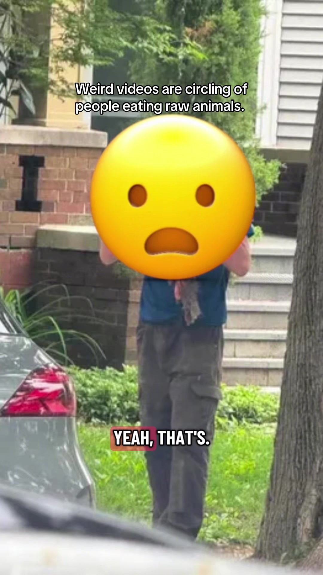 @Cryptid