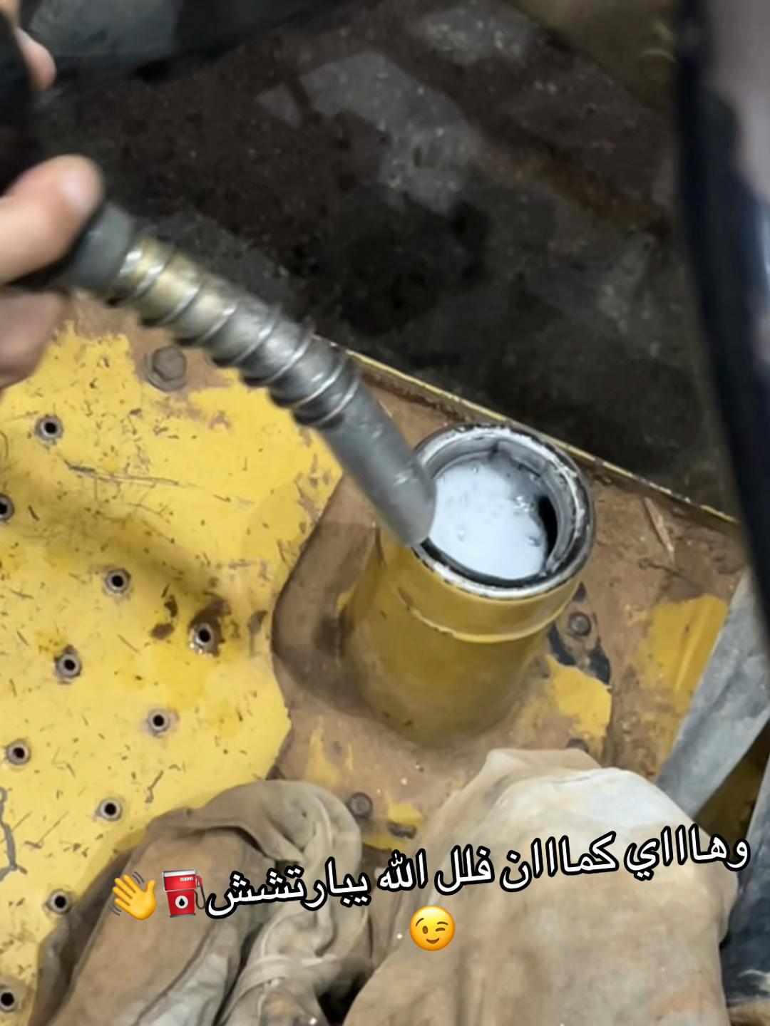 @Alaa_M_Qalalweh