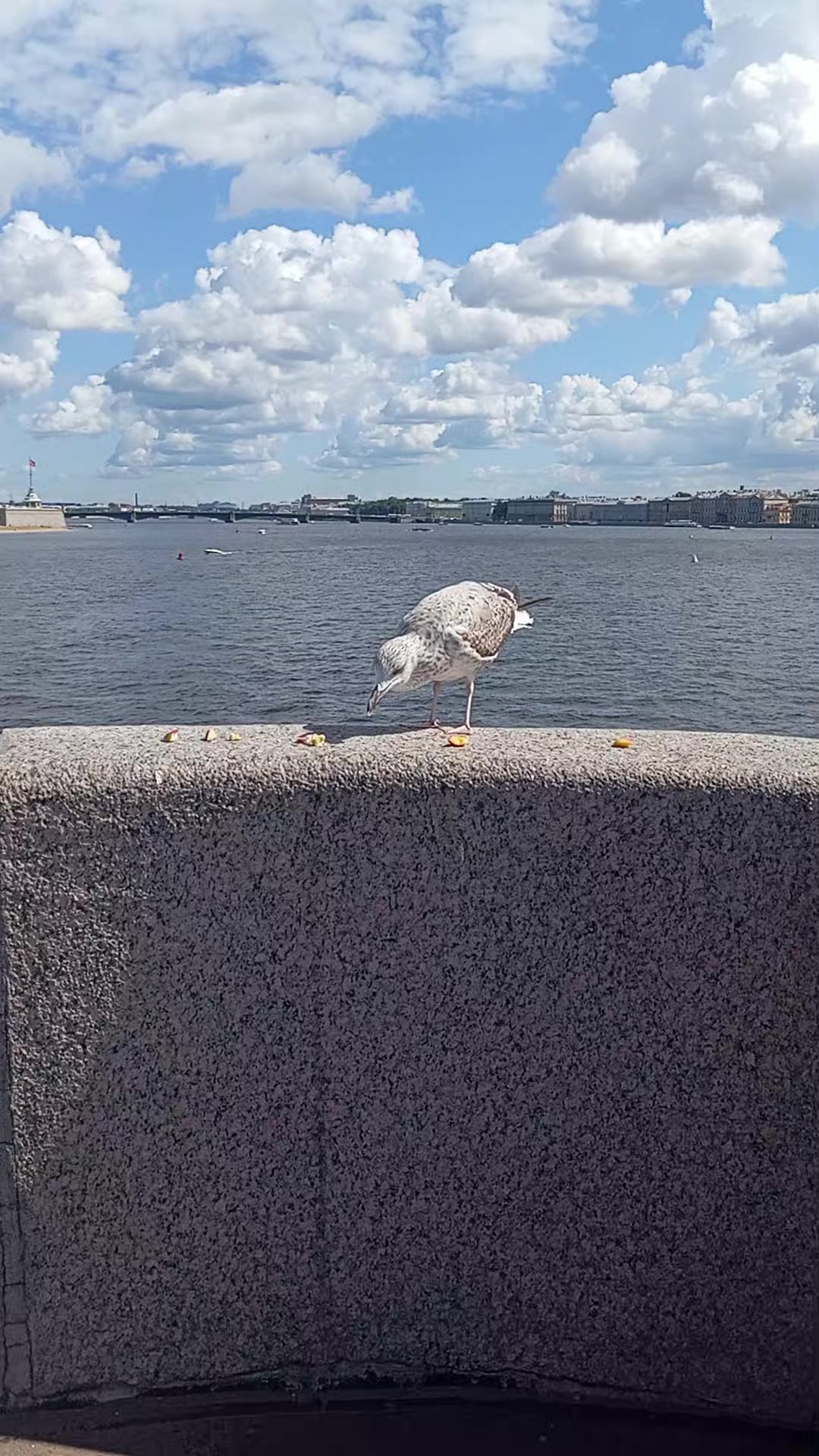 @Юморок под вечерок