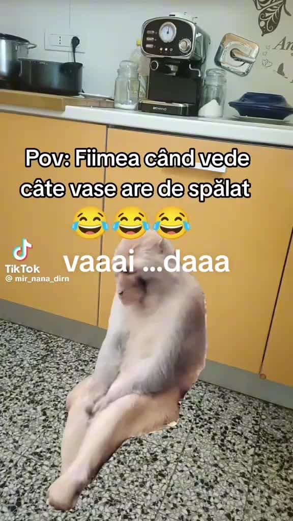 @GIULLIA FATA DE LA IA IASI