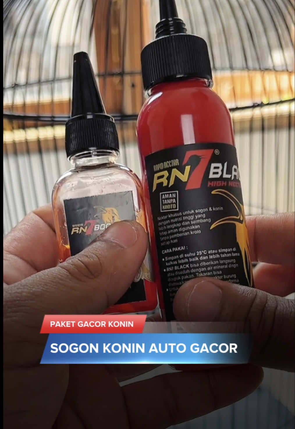 @KICAUNESIA ONLINE