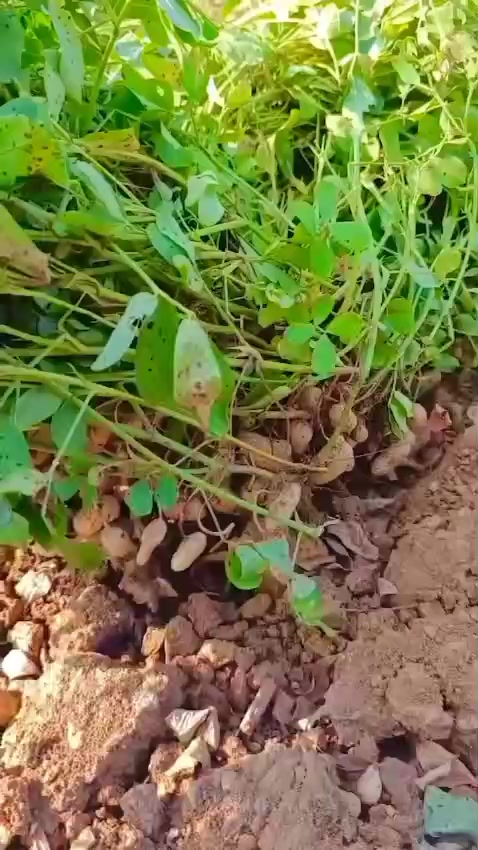 @Zortrax Agriculture Inc