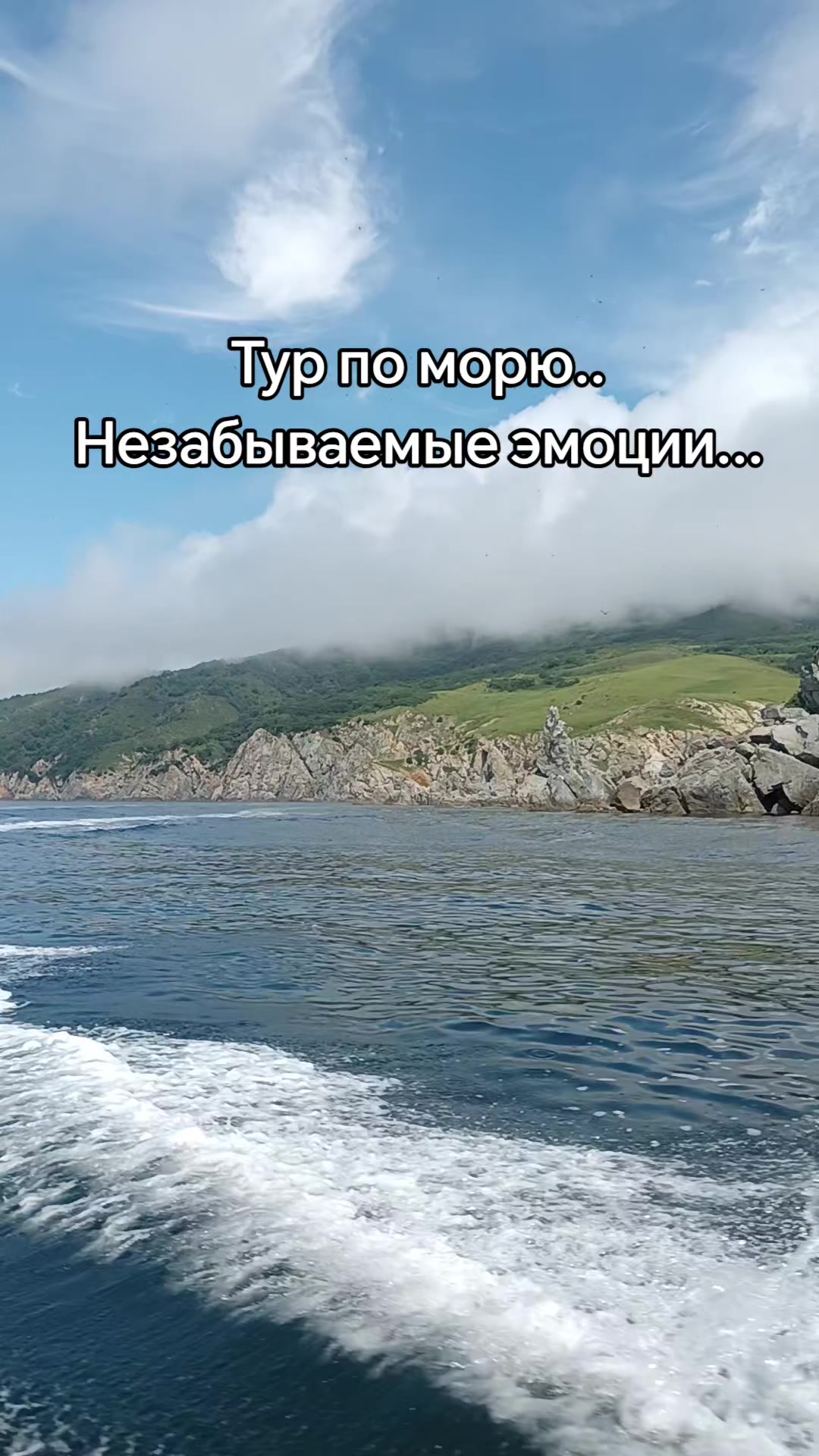 @❤️СеРдЦеЕдКа❤️
