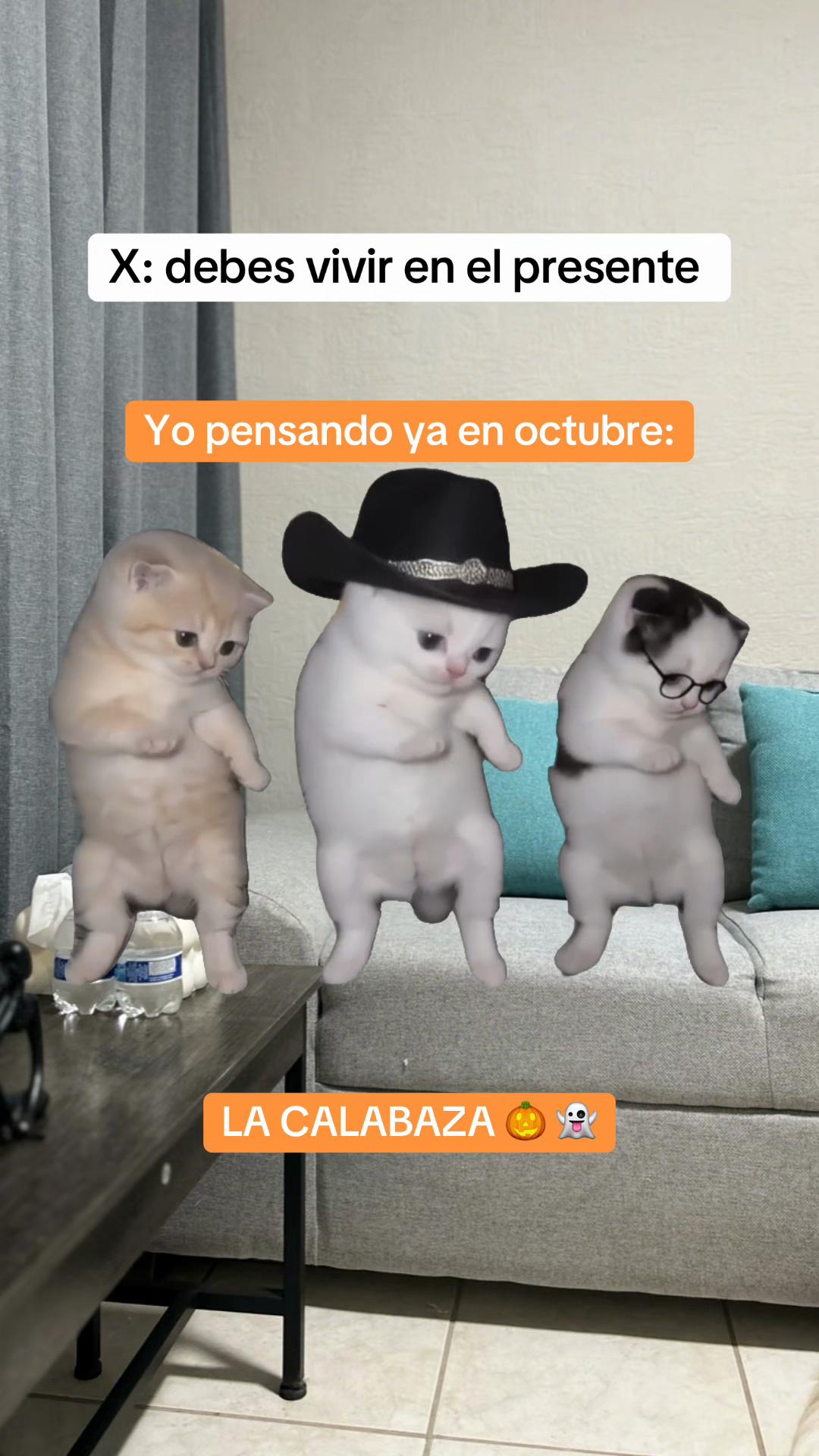 @Vicky Mateo | Psic&oacute;loga