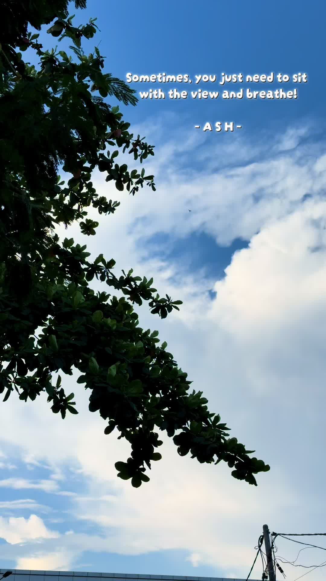 @ashh_088