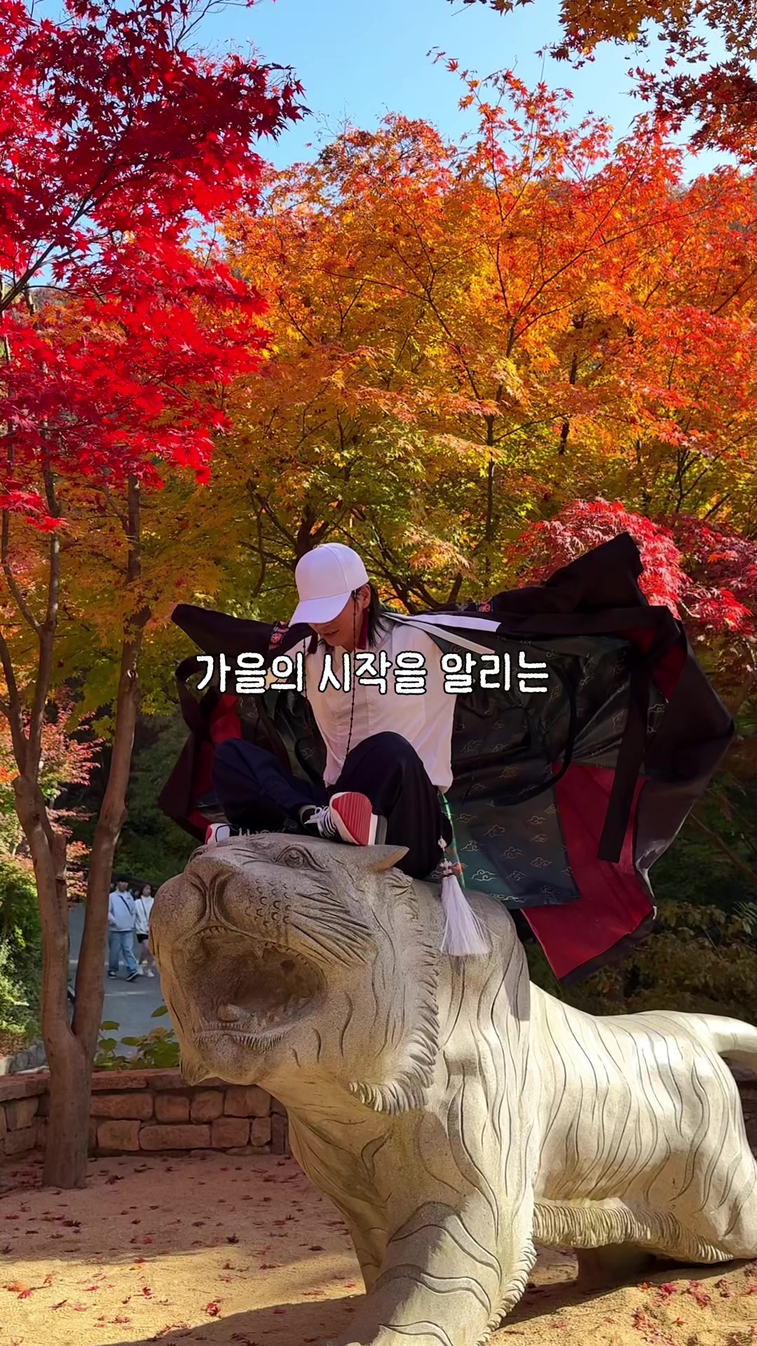 @traveler_jin