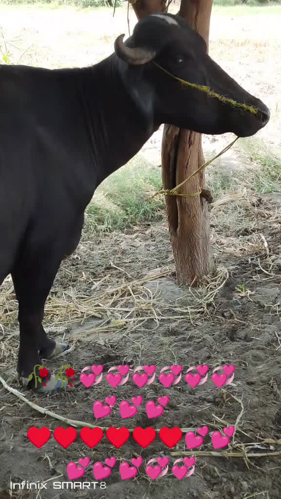 @💞💞💞💞💞💞s.s🥰🥰🥰🥰🥰